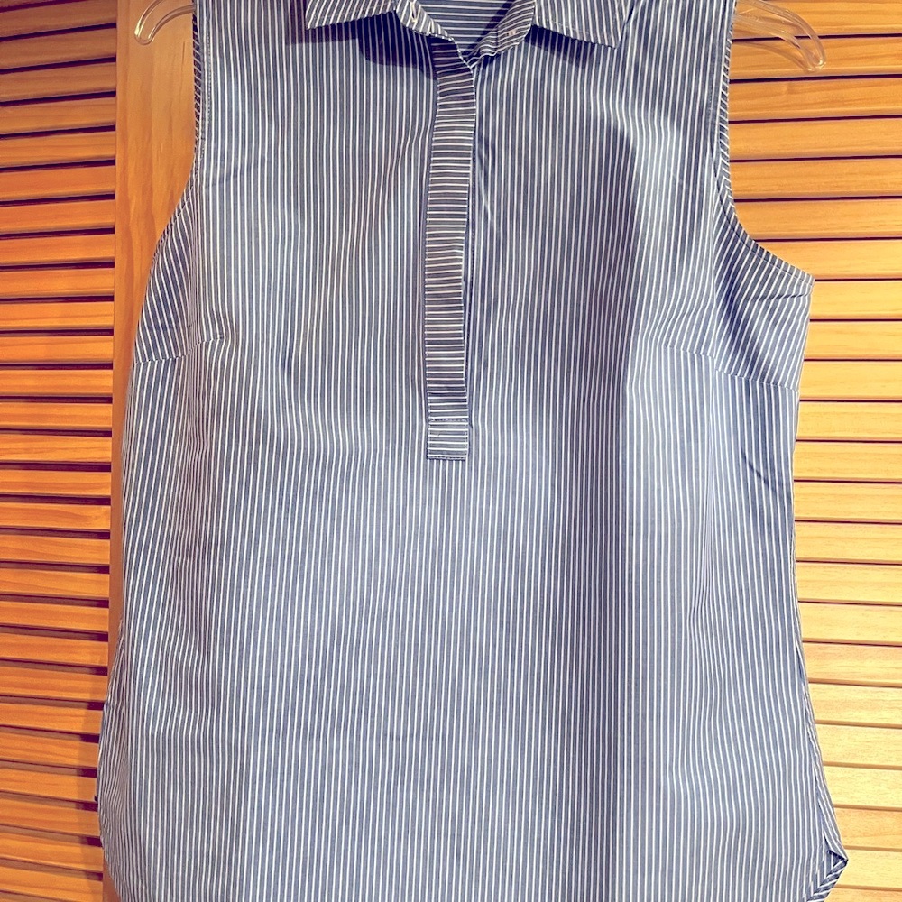Striped Sleeveless Top - Blue and White
